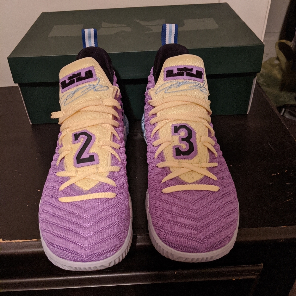 Lebron XVI shoes